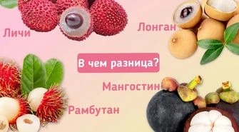 В чем разница между лонганом, личи, рамбутаном и мангостином?