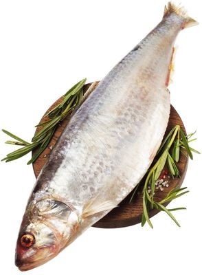 Сельдь каспийская залом ~1,25кг-0}