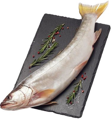 Кунджа дальневосточная непотрошеная ~2,5кг-0}