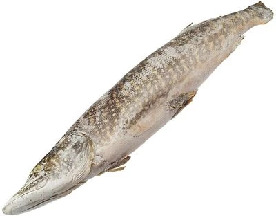 Щука Сибирская свежемороженая ~850г-0}