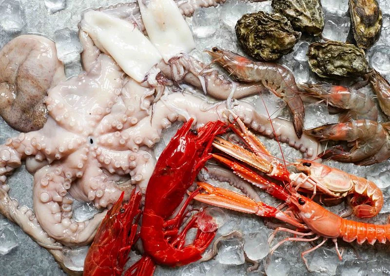 Польза живых морепродуктов: чем они отличаются от замороженных