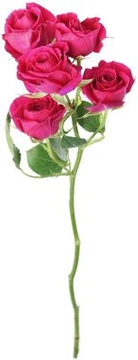 Роза кустовая Пинк Дидикейшн 1шт.-0}