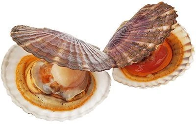 Гребешок дальневосточный живой ~ 500г-0}