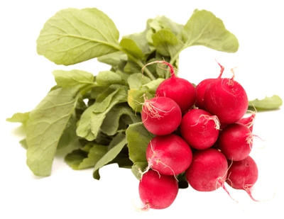 Редис красный пучок Краснодарский край-0}