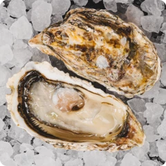 Устрица Сайон ~90г