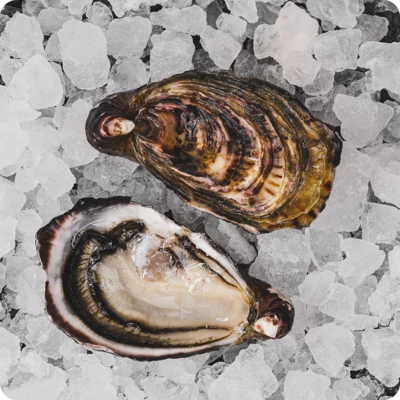 Устрица Мальборо ~50г-0}