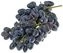 thumb-Виноград черный Молдавия ~500г-0}