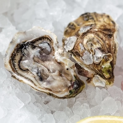 Устрица Маака живая 1шт-0}