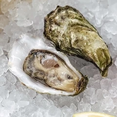 Устрица Специаль Касабланка 1шт