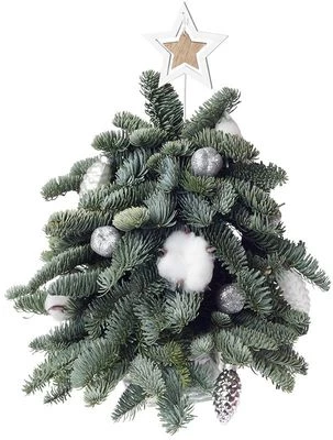 Букет новогодний Ёлочка Снегурочки -1}