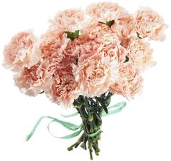 Букет розовых гвоздик 15шт