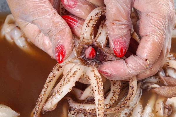 Смыть пленки с щупалец, удалить при необходимости, клюв.