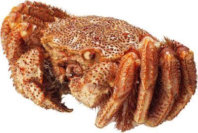 Краб волосатый четырехугольный целый ~750г-0}