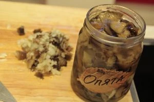 Грибы нарезать небольшими кусочками, смешать с мелко нарезанным луком.