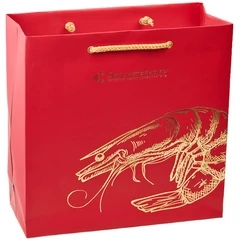 Подарочный пакет бумажный средний 25смх25смх10см