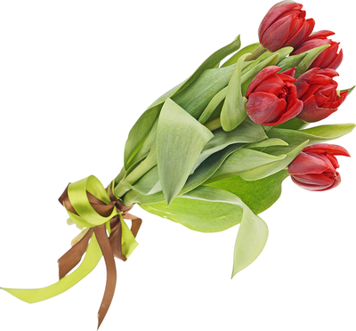 Букет тюльпанов красных 15шт-0}