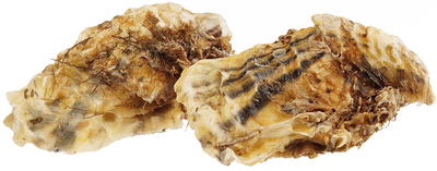 Устрица Королевская 1шт-0}