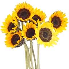 Гелиантус Санрич Оранж 1шт