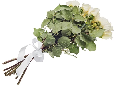 Лента атласная Белая 25мм-0}