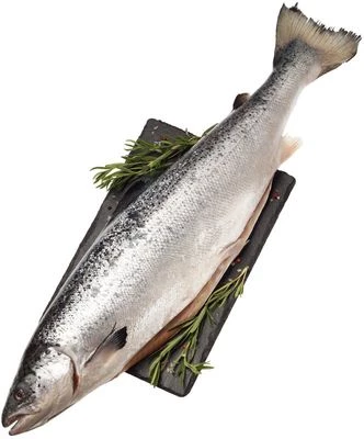 Семга атлантическая потрошеная ~3,5кг-0}