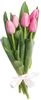 thumb-Букет тюльпанов розовых 5шт-0}