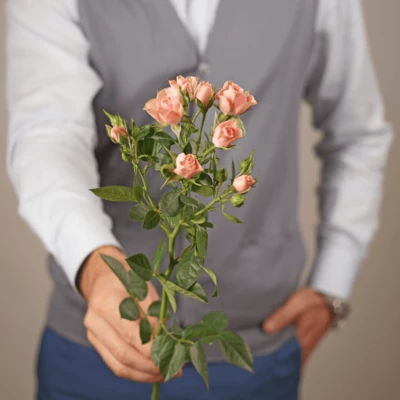 Роза кустовая светло-розовая Лидия 1шт-1}