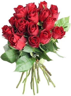 Букет красных роз Мадам Ред ~40см 15шт-0}