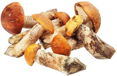 Подосиновики свежие ~300г -0}