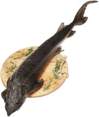 Осетр потрошеный ~1,5кг