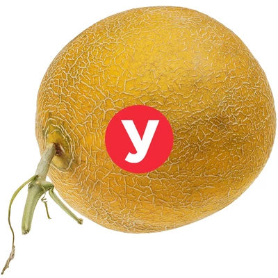 Дыня Колхозница УЦЕНКА ~ 3кг-0}