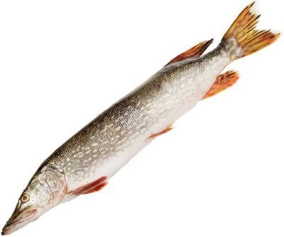 Щука охлажденная ~ 1,5кг-0}