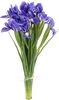 thumb-Букет ирисов Блю мейджик 15шт-0}