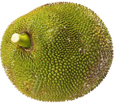 Джекфрут ~9кг-1}