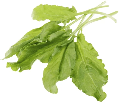 Щавель свежий Тульская область 150г-0}