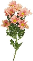 Хризантема кустовая розовая Гранд Сальмон 1шт