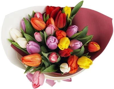 Букет тюльпанов Праздничное настроение 25шт -1}