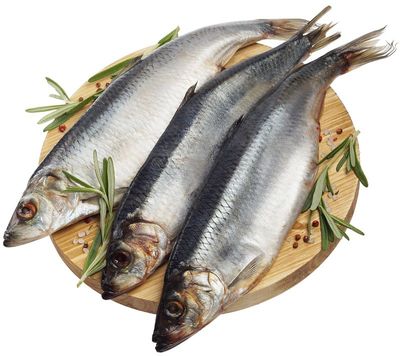 Сельдь тихоокеанская ~1кг-0}