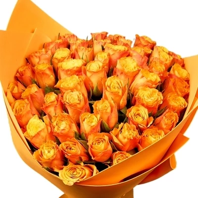 Букет роз Мари Клер 49шт-0}