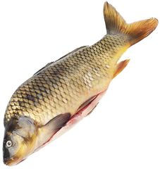 Карп охлажденный потрошеный ~1.8кг