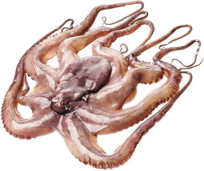 Осьминог очищенный ~1,5кг-0}