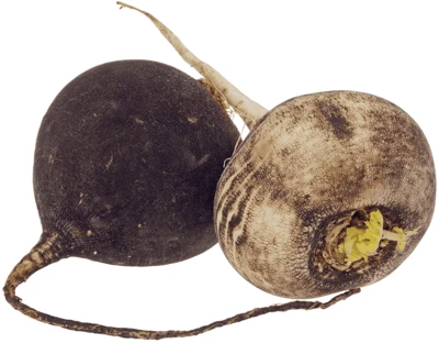 Редька черная Россия ~550г-0}