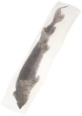 Осетр потрошеный ~1,5кг