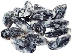 Мидии чилийские в соусе Горгонзола в двух створках Деликатеска 500г