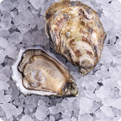 Устрица Ла Перл Нуар ~60 Франция-0}