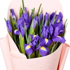 Букет ирисов Блю мейджик 21шт