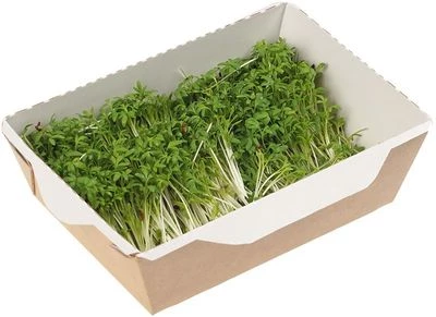 Микрозелень Кресс-салат Россия 40г-1}