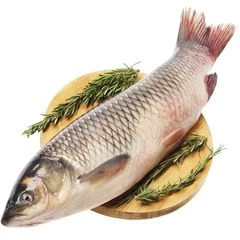 Белый амур потрошеный без чешуи охлажденный ~2кг