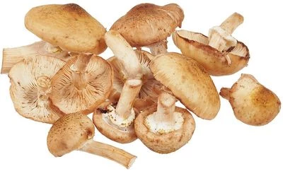 Опята свежие Россия ~300г-0}