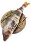 thumb-Терпуг дальневосточный тушка ~850г-0}