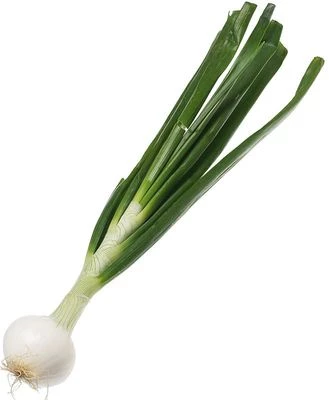 Лук белый молодой Крым ~500г-1}